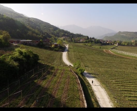 Video riprese aeree con drone per DiViNosiola 2017 1