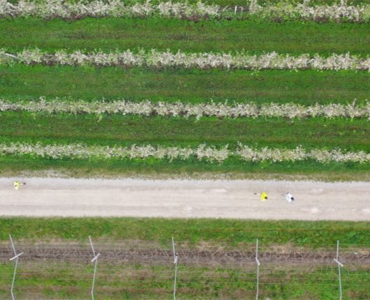 Riprese con drone per DiviNosiola 2019